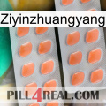 Ziyinzhuangyang 27